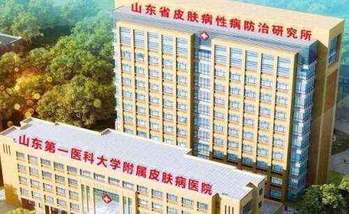 山东第一医科大学附属皮肤病医院.jpg